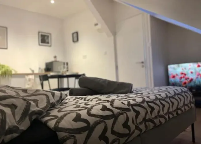 Soh Rent Strasbourg Studio 3 Tv-Wifi Proche Gare